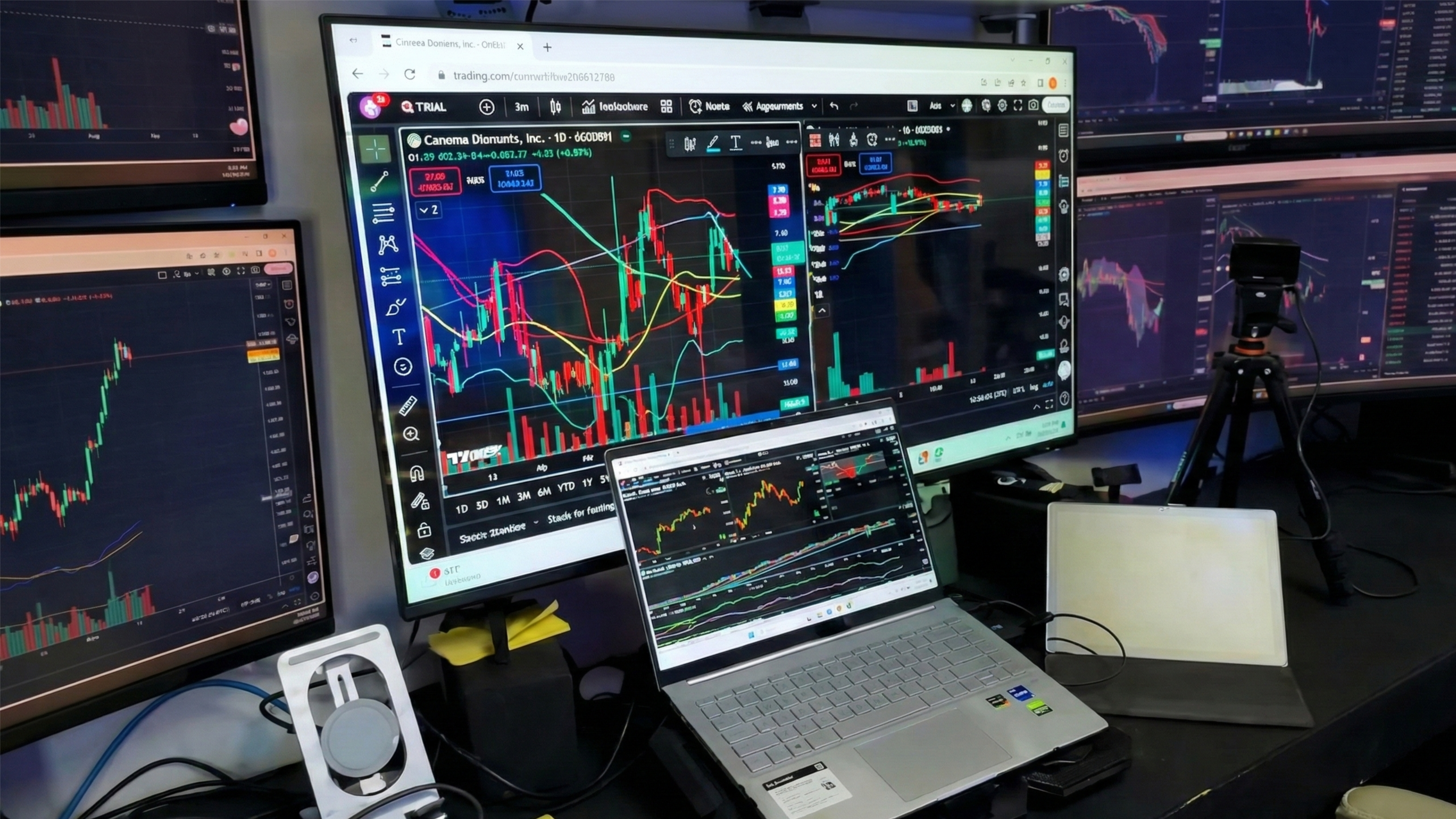 Miniatura Portafolios